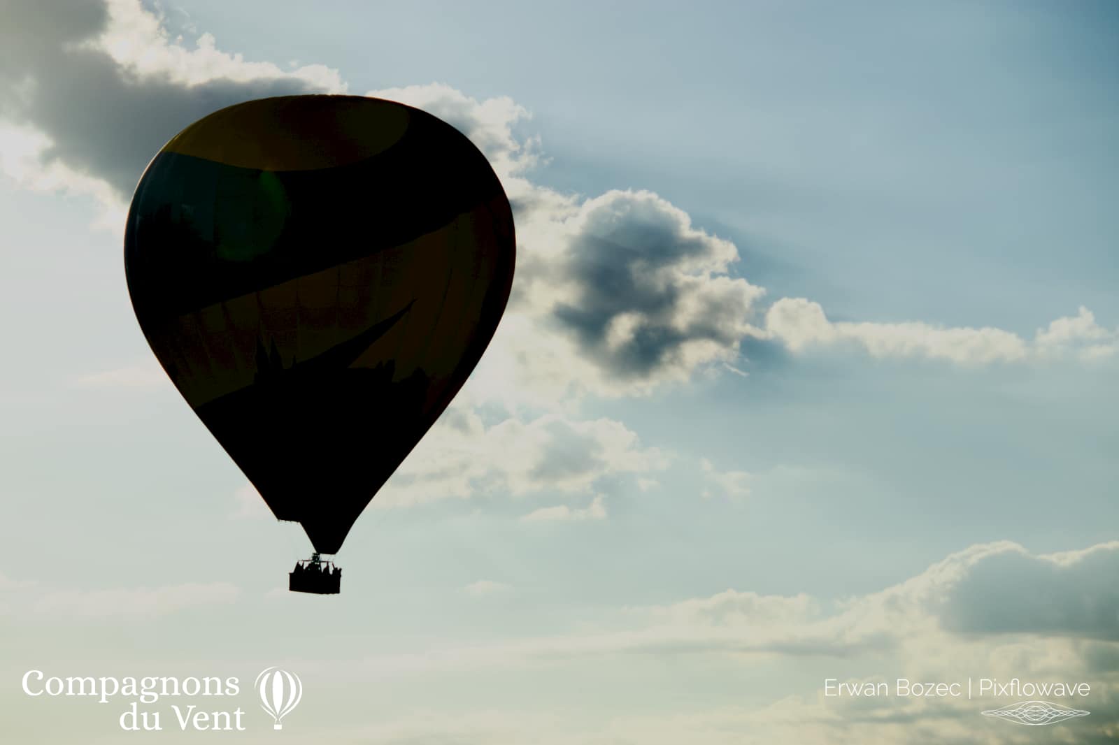 2023 08 21T08:17:47 Pixflowave