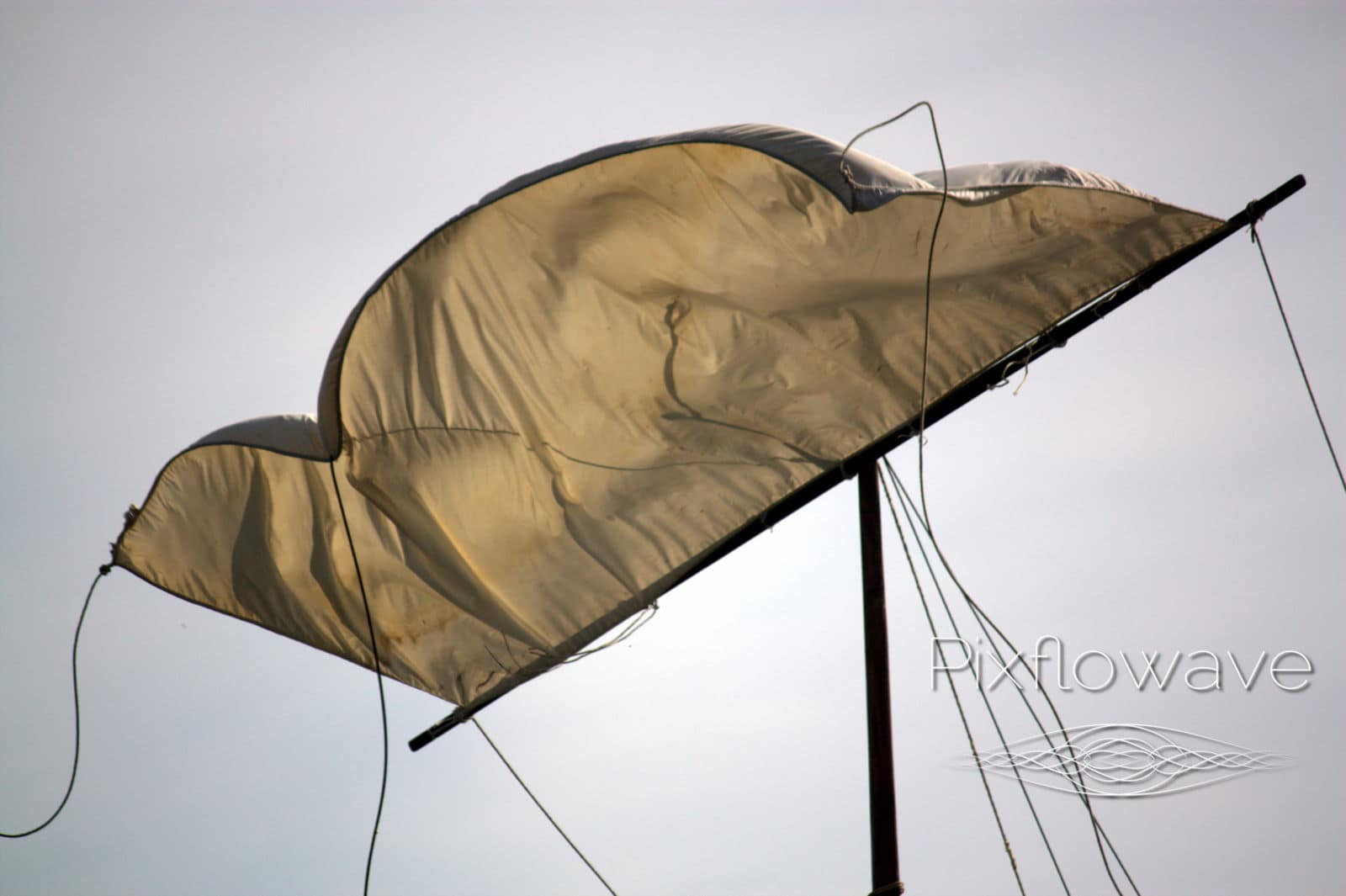 24 Toue à Blois 31 08 2019