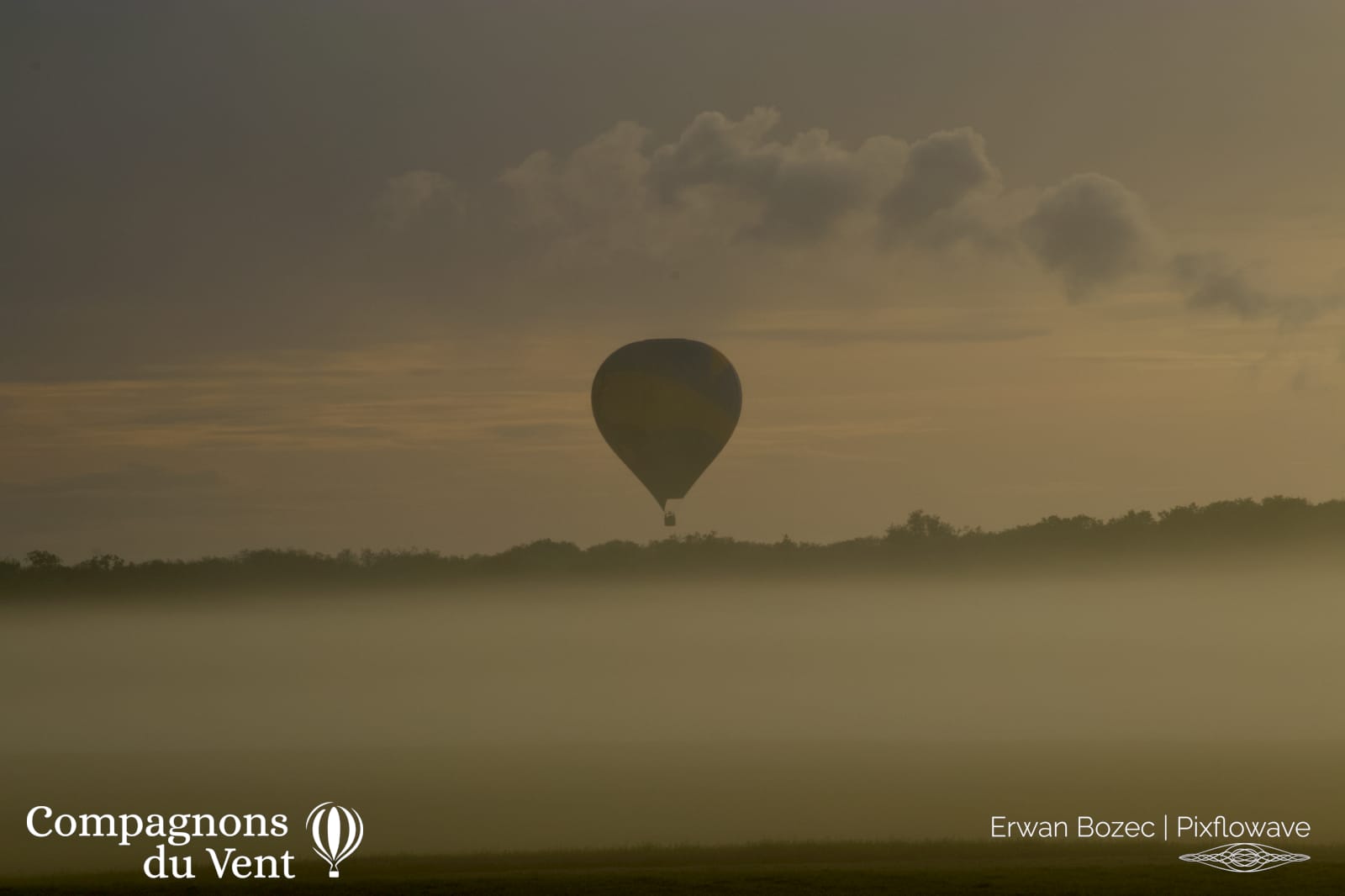 2023 05 06T07:17:01 Pixflowave