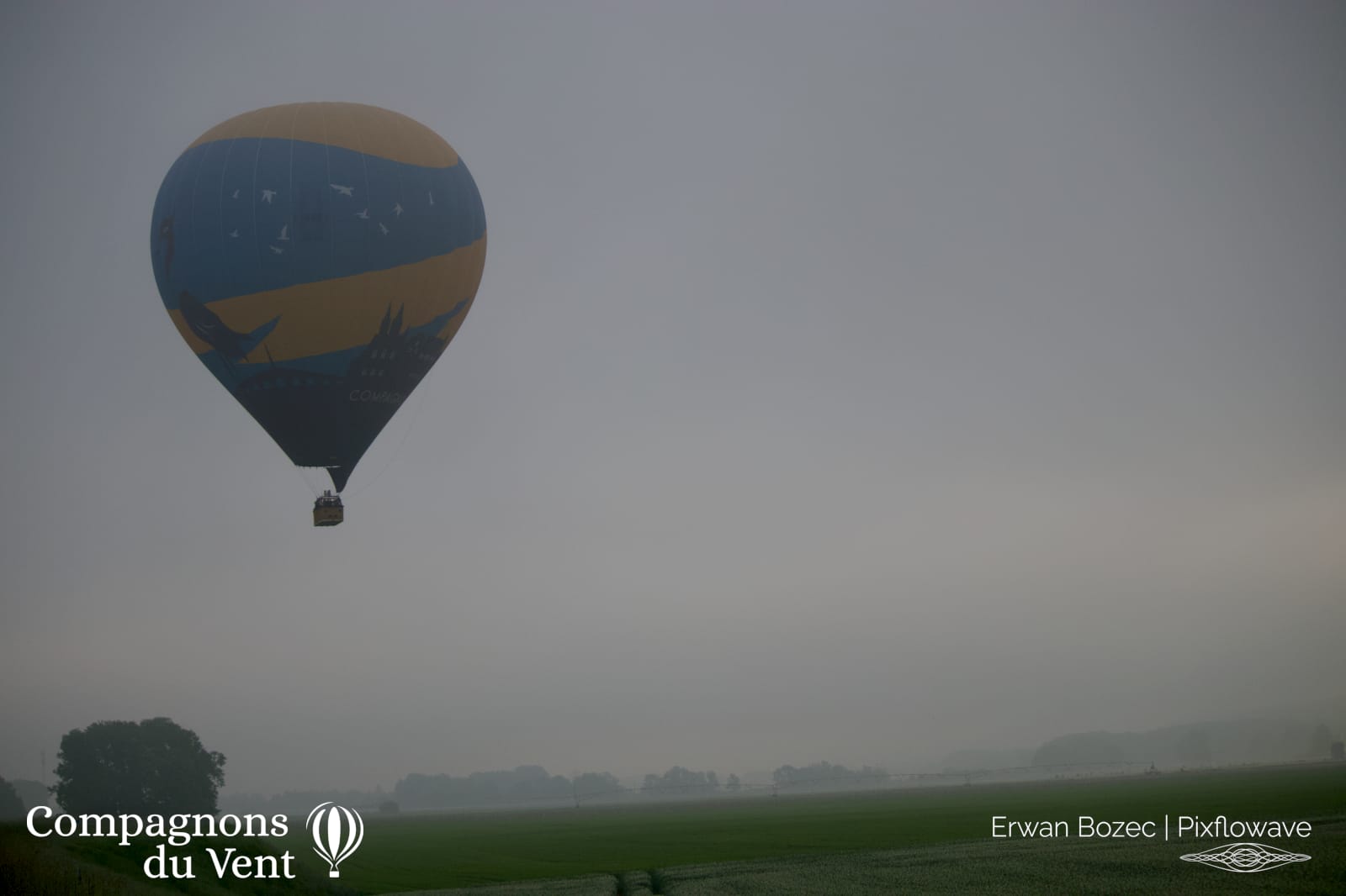 2023 05 15T07:42:28 Pixflowave