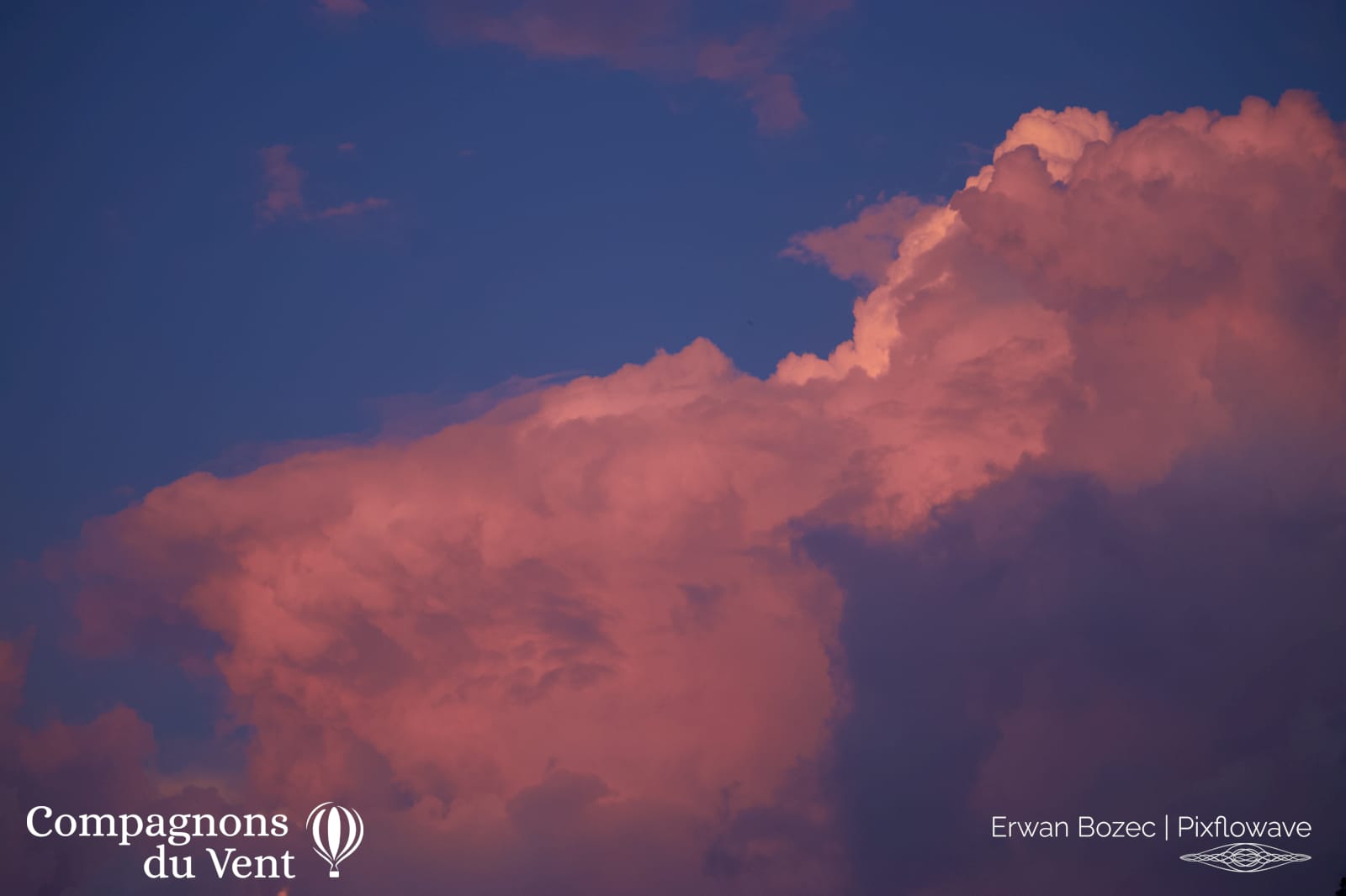 2023 06 12T21:55:06 Pixflowave