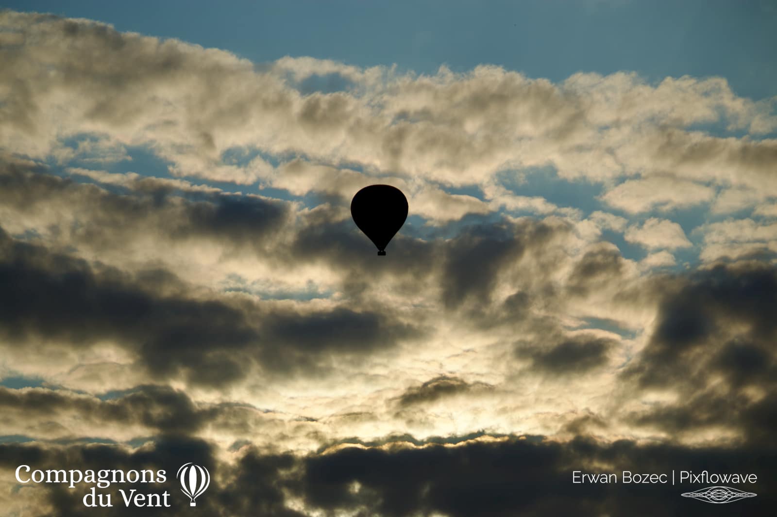 2023 07 21T20:38:47 Pixflowave