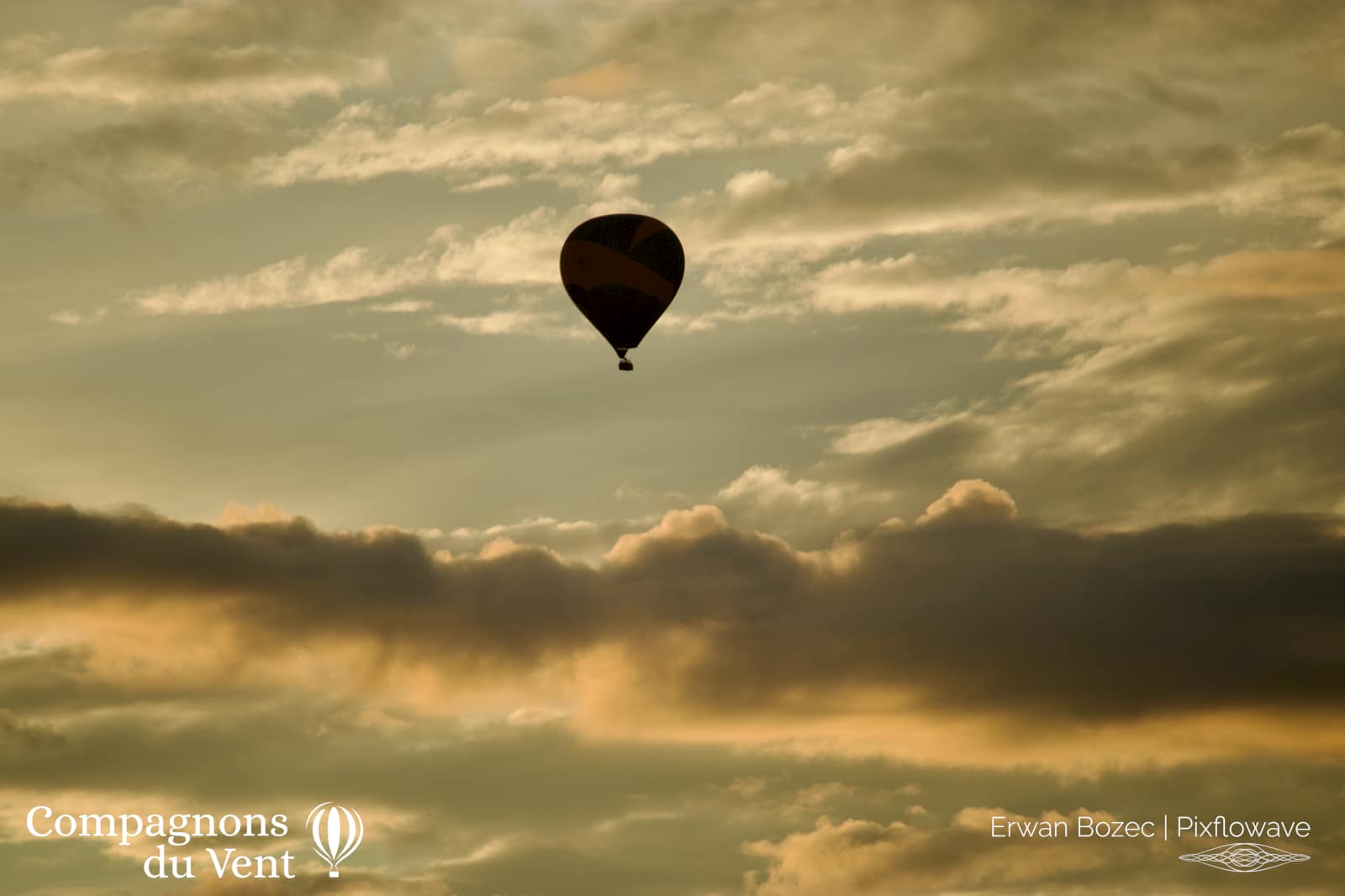 2023 07 29T06:51:48 Pixflowave