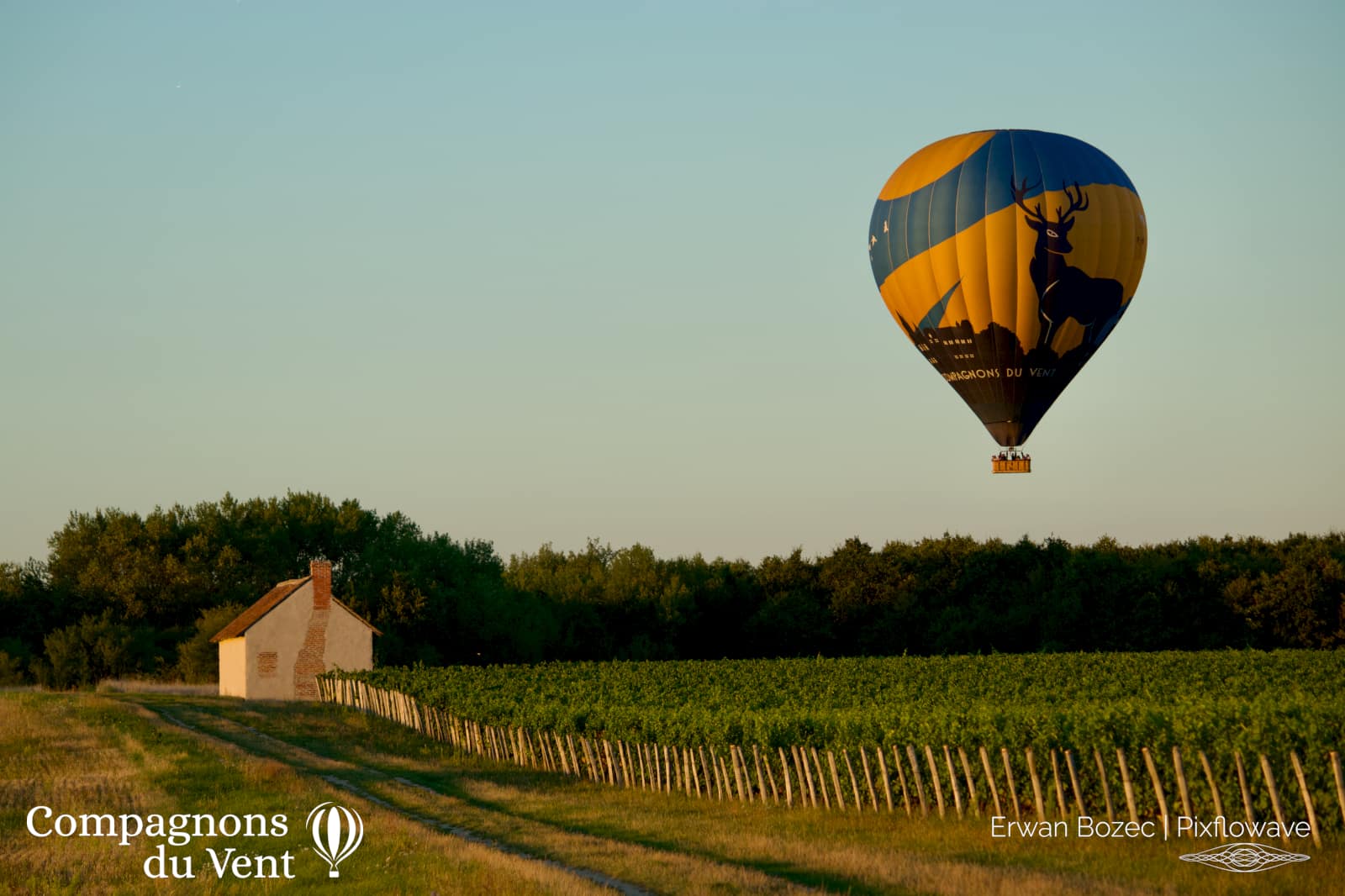 2023 08 09T20:59:53 Pixflowave