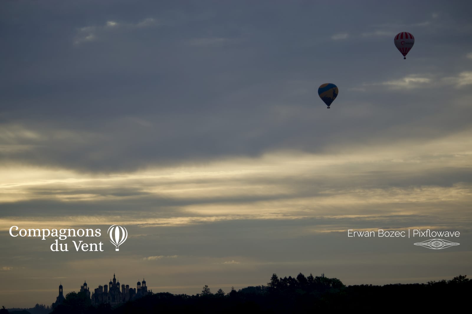 2023 08 13T07:51:05 Pixflowave