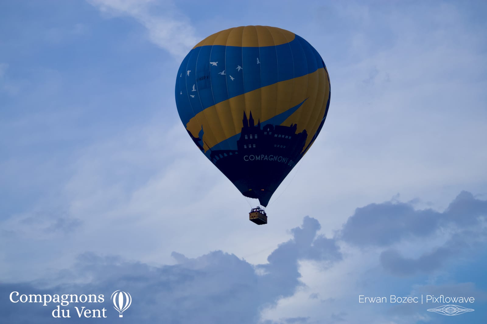 2023 08 15T07:38:31 Pixflowave