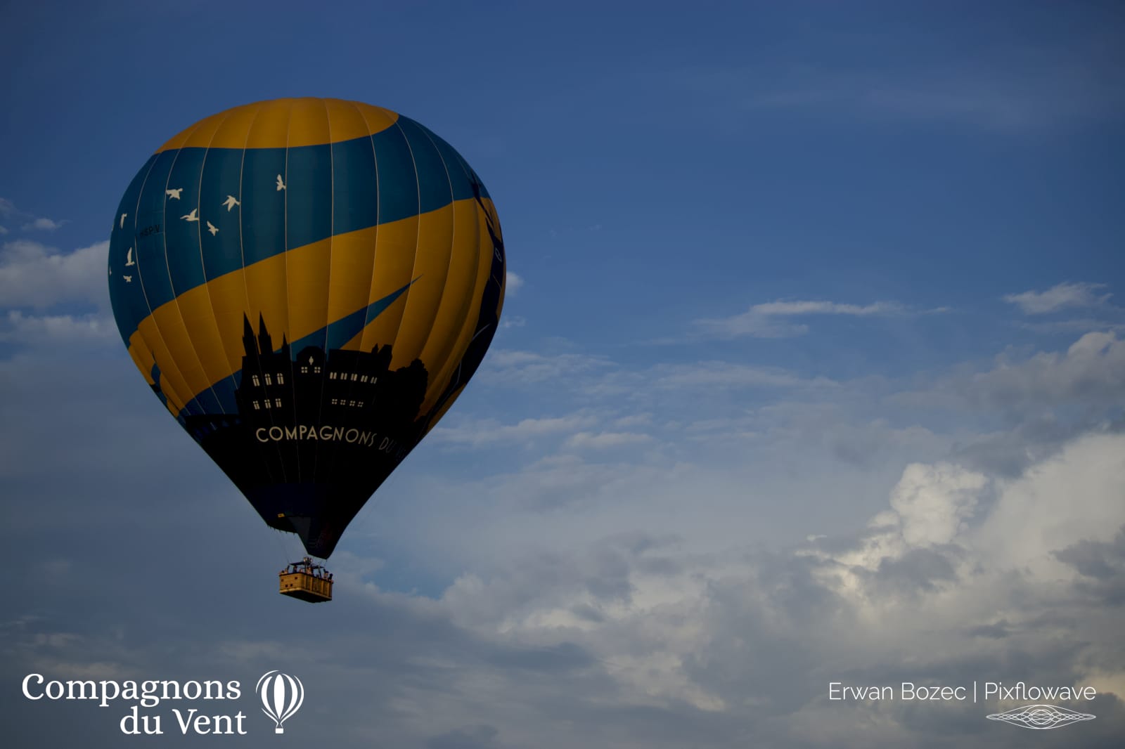 2023 08 16T19:57:02 Pixflowave