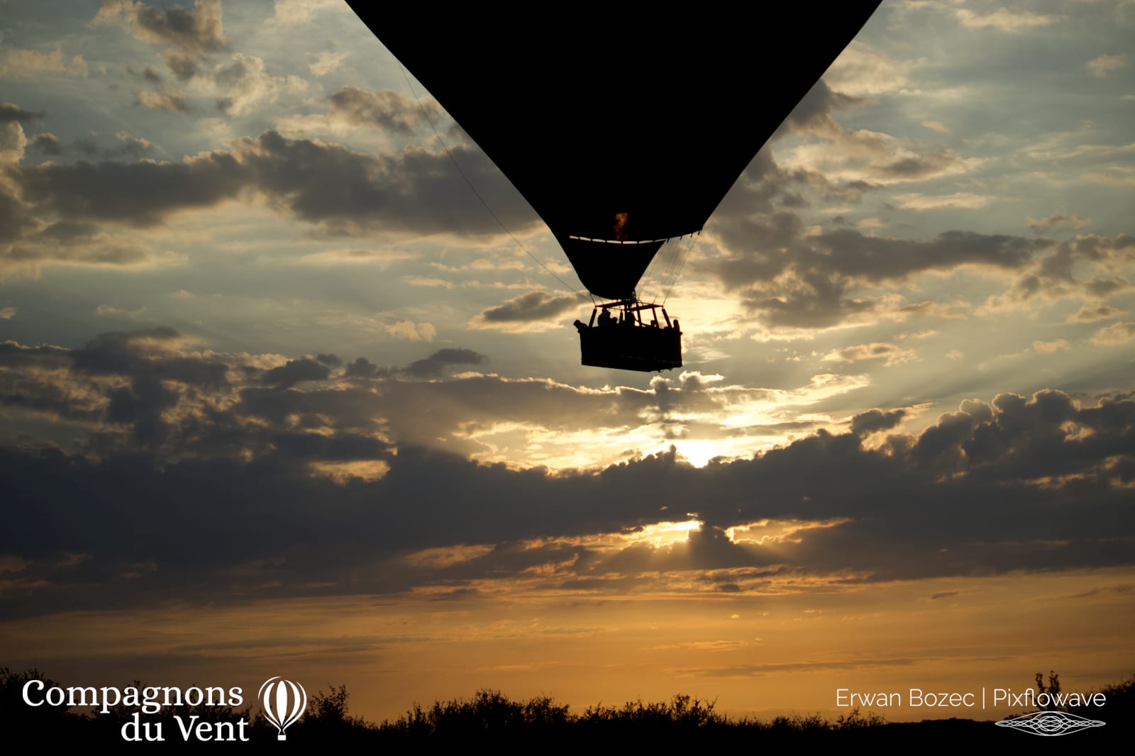 2023 08 16T20:29:23 Pixflowave